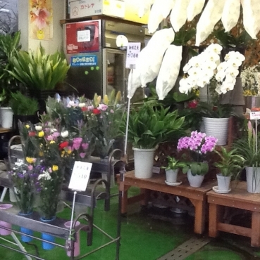 「フローラル仲花苑」　（埼玉県新座市）の花屋店舗写真2